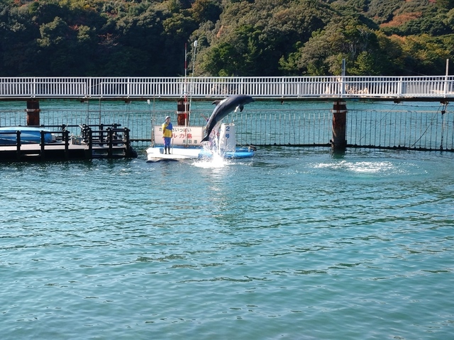 ジョルダンのマーラー3番: 気になって仕方が無い！